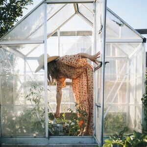 CHRISTY DAWN Theo Dress Butterfly Garnet 100% COTTON Maxi Dress XL NWOT